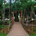 taman_kota_1_bsd