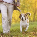 berjalan_membawa_anjing