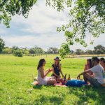 picnic_adventure